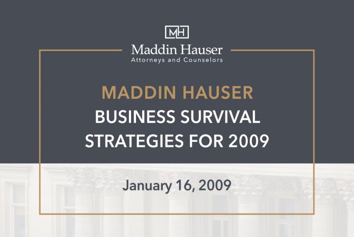 Business Survival Strategies for 2009